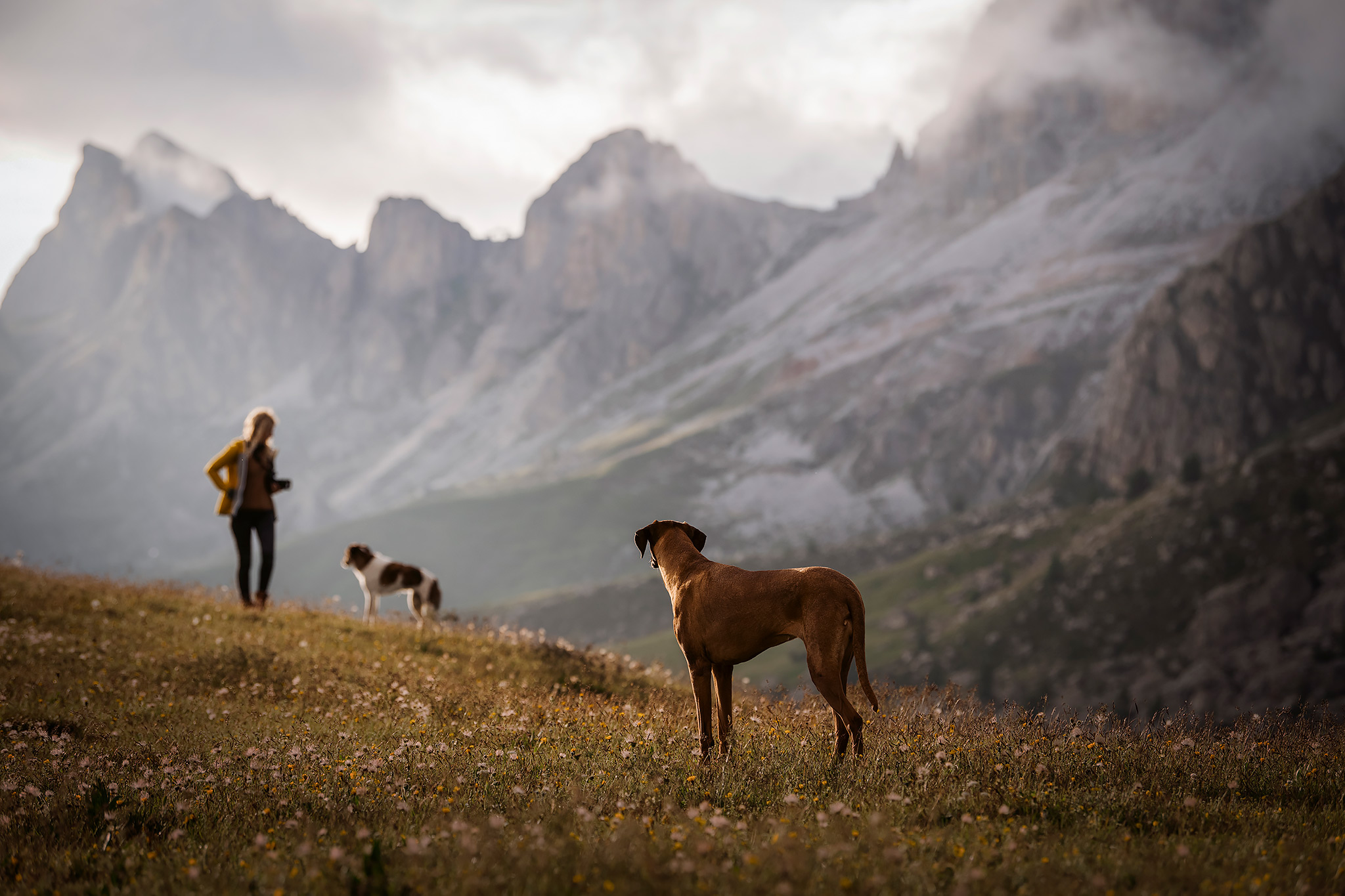 Workshop Dolomiten 2022