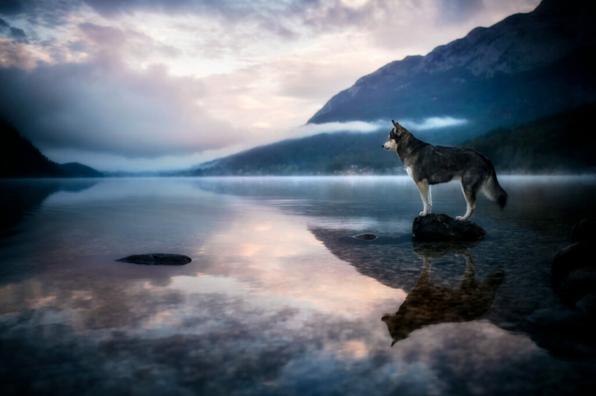 Baylee am Grundlsee