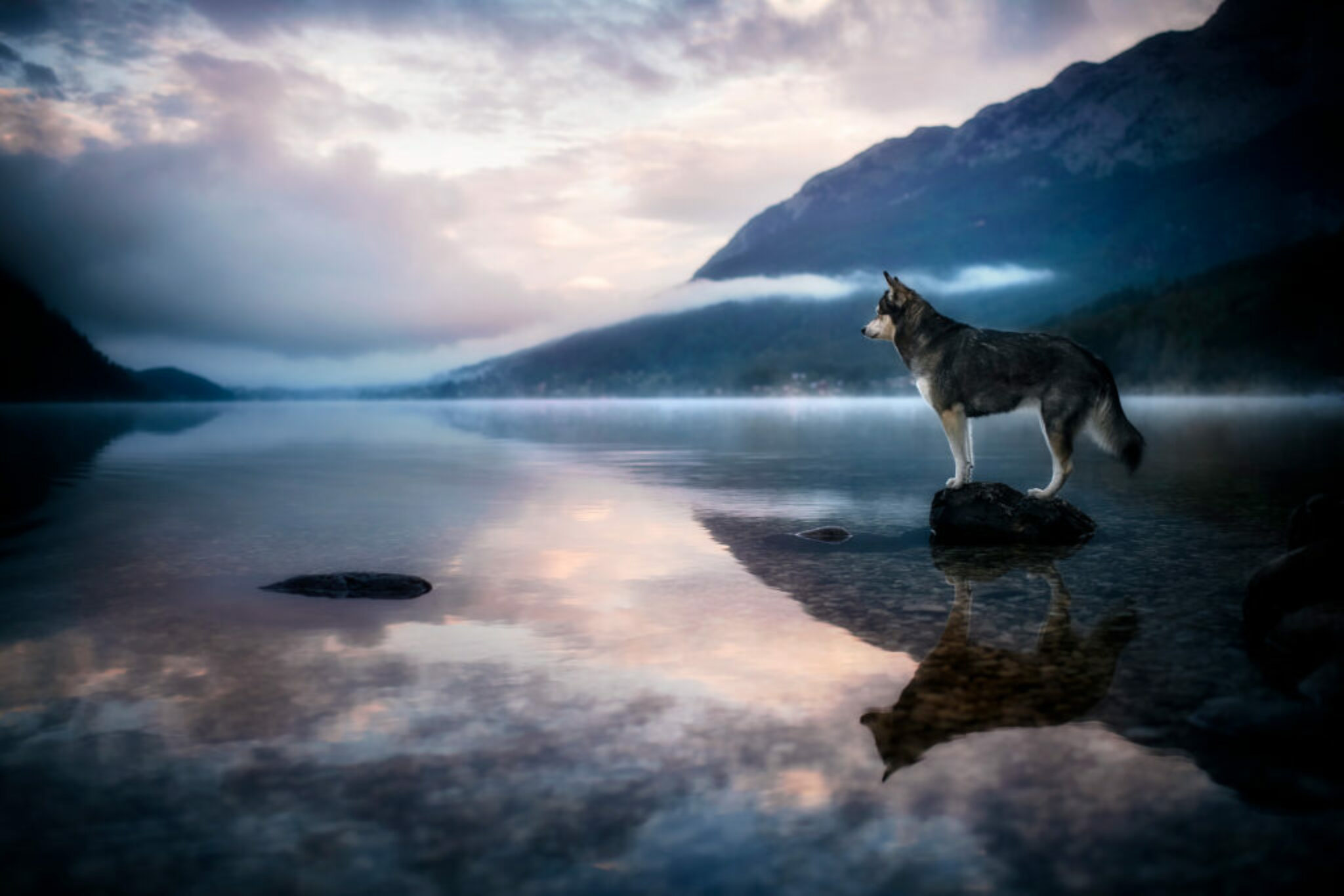 Baylee am Grundlsee