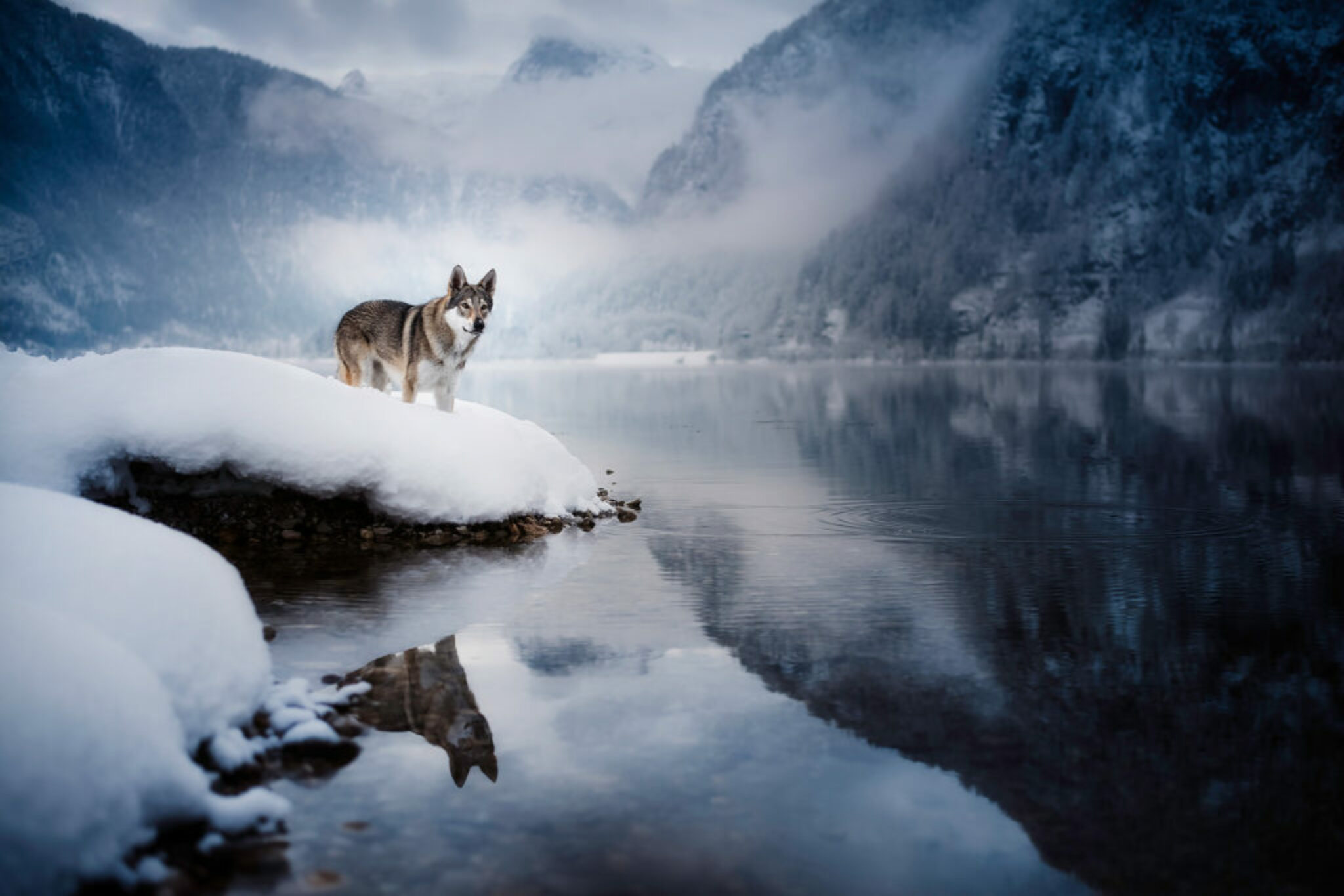 Winterfotoshooting mit Hanani