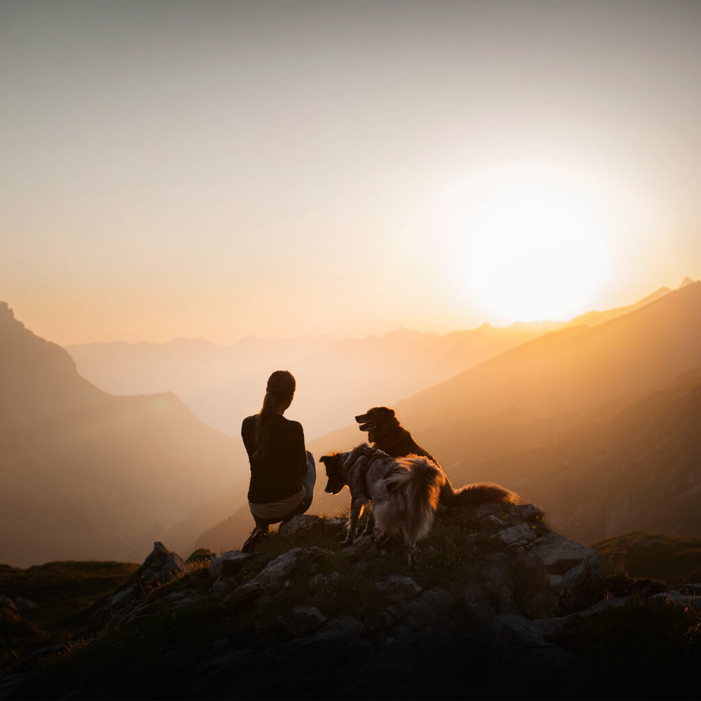 Fotoshooting mit dem geliebten Vierbeiner