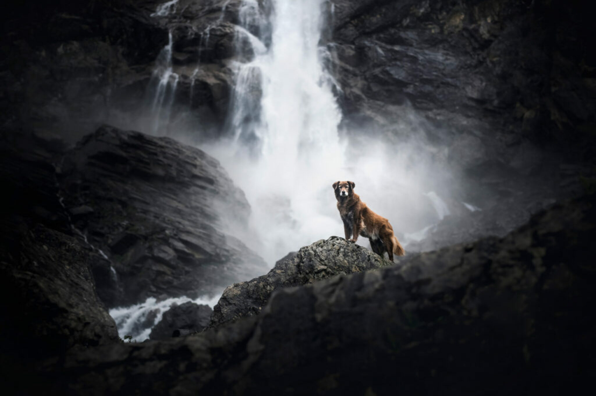 Finn vor einem Wasserfall in der Schweiz