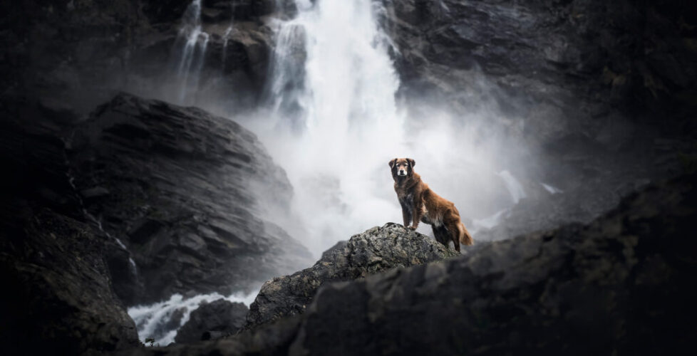 Finn vor einem Wasserfall in der Schweiz