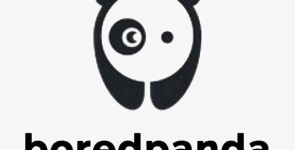 Boredpanda-lorier-bored-panda-logo-bored-panda-feature-flowerpot-bored-panda-1170x975