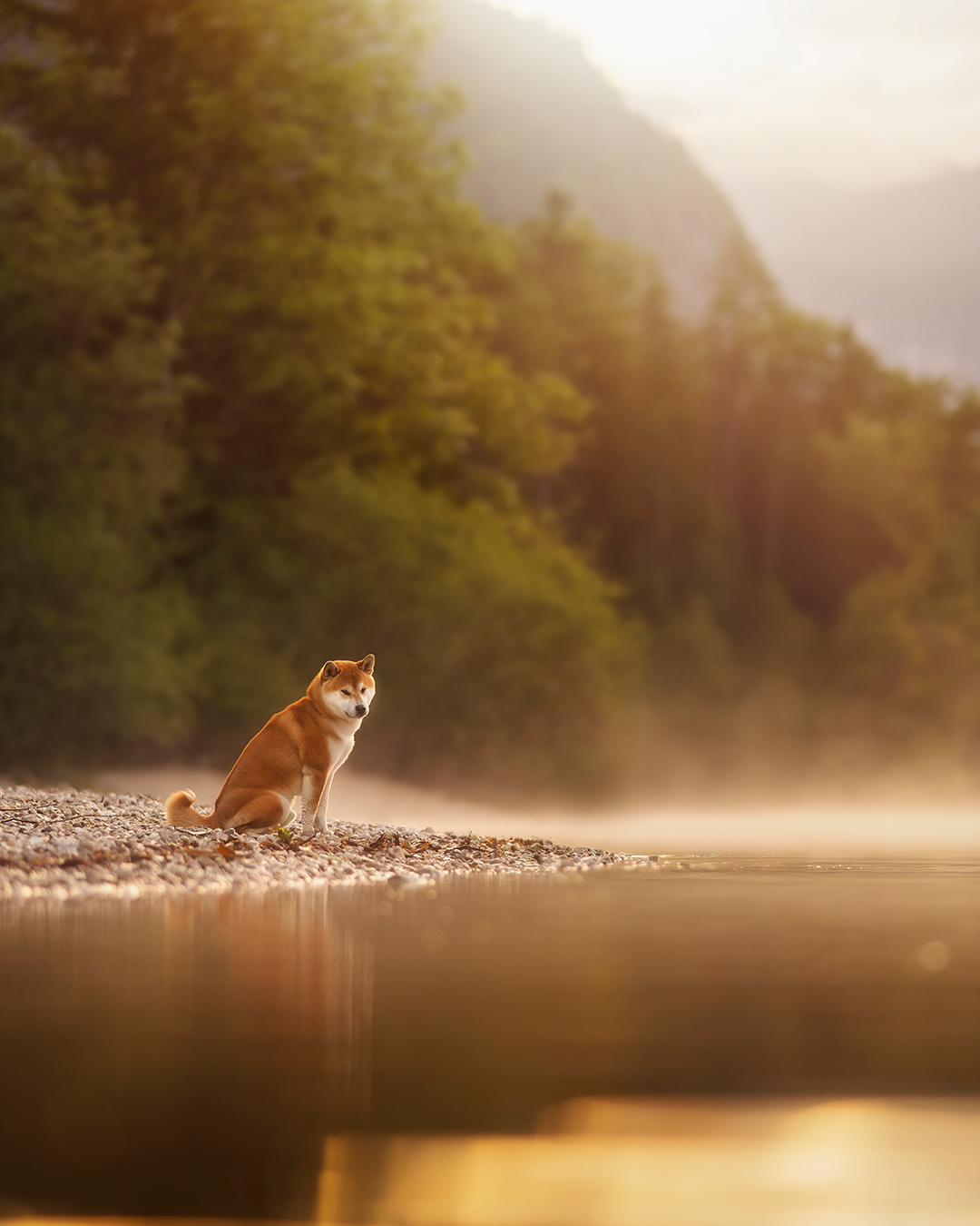 Karusellpost_7slides_01